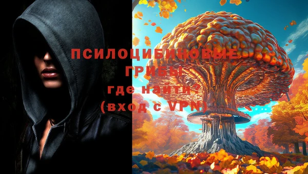 экстази Богородск