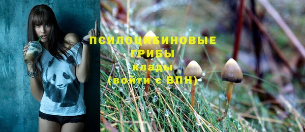 экстази Богородск