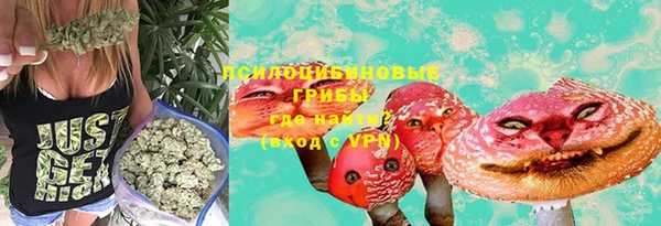 mdpv Богданович