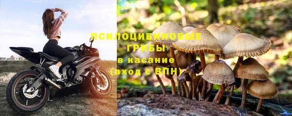 mdpv Богданович