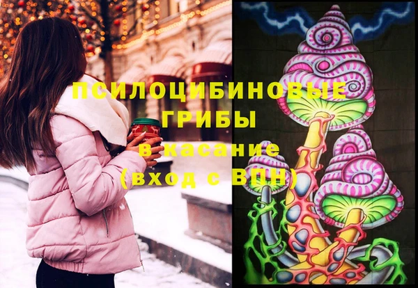 mdpv Богданович