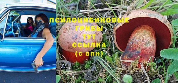 эйфоретик Шали