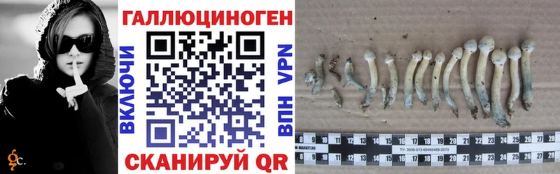 Псилоцибиновые грибы Psilocybine cubensis  наркота  Михайлов 